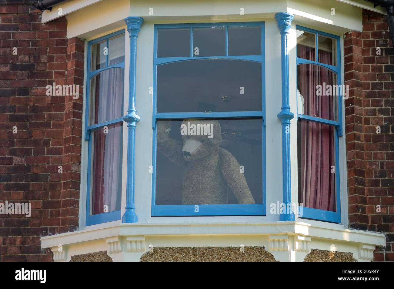 Large teddy bear in a residential bedroom window. England. UK Stock Photo