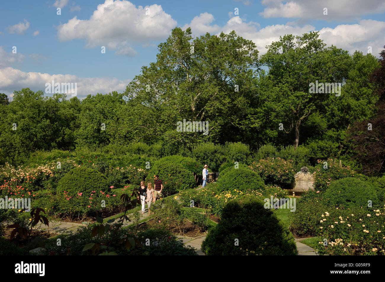 The Rose Garden at Dumbarton Oaks. Washington, DC. USA Stock Photo Alamy