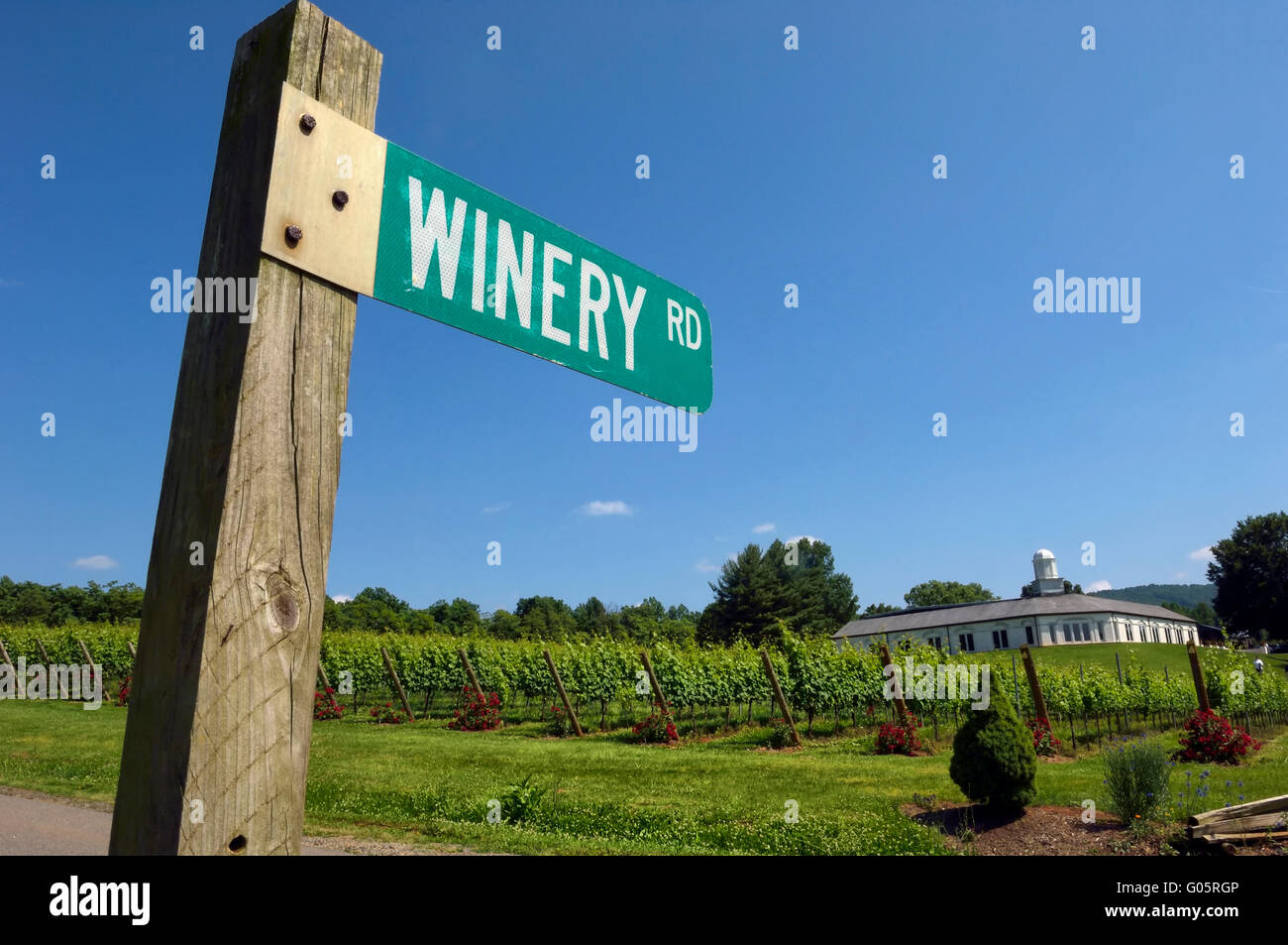 Winery Road. Barboursville Vineyards. Virginia. USA Stock Photo