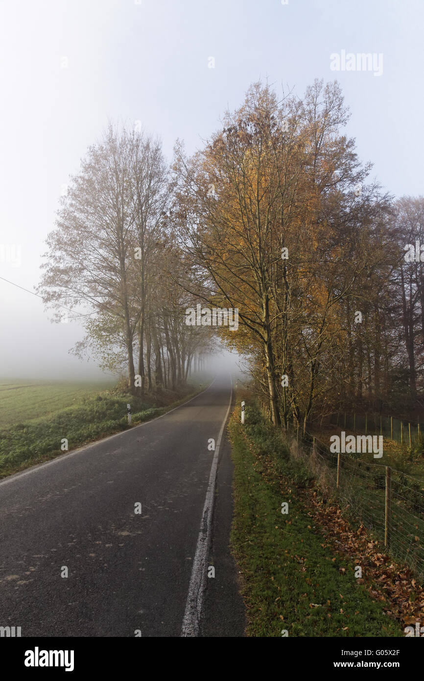 Country road in autumn with dense fog in Germany Stock Photo