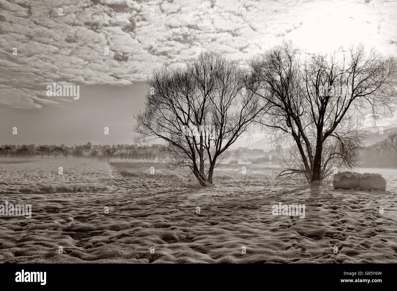 cold winter day in the sunlight black and white Stock Photo - Alamy