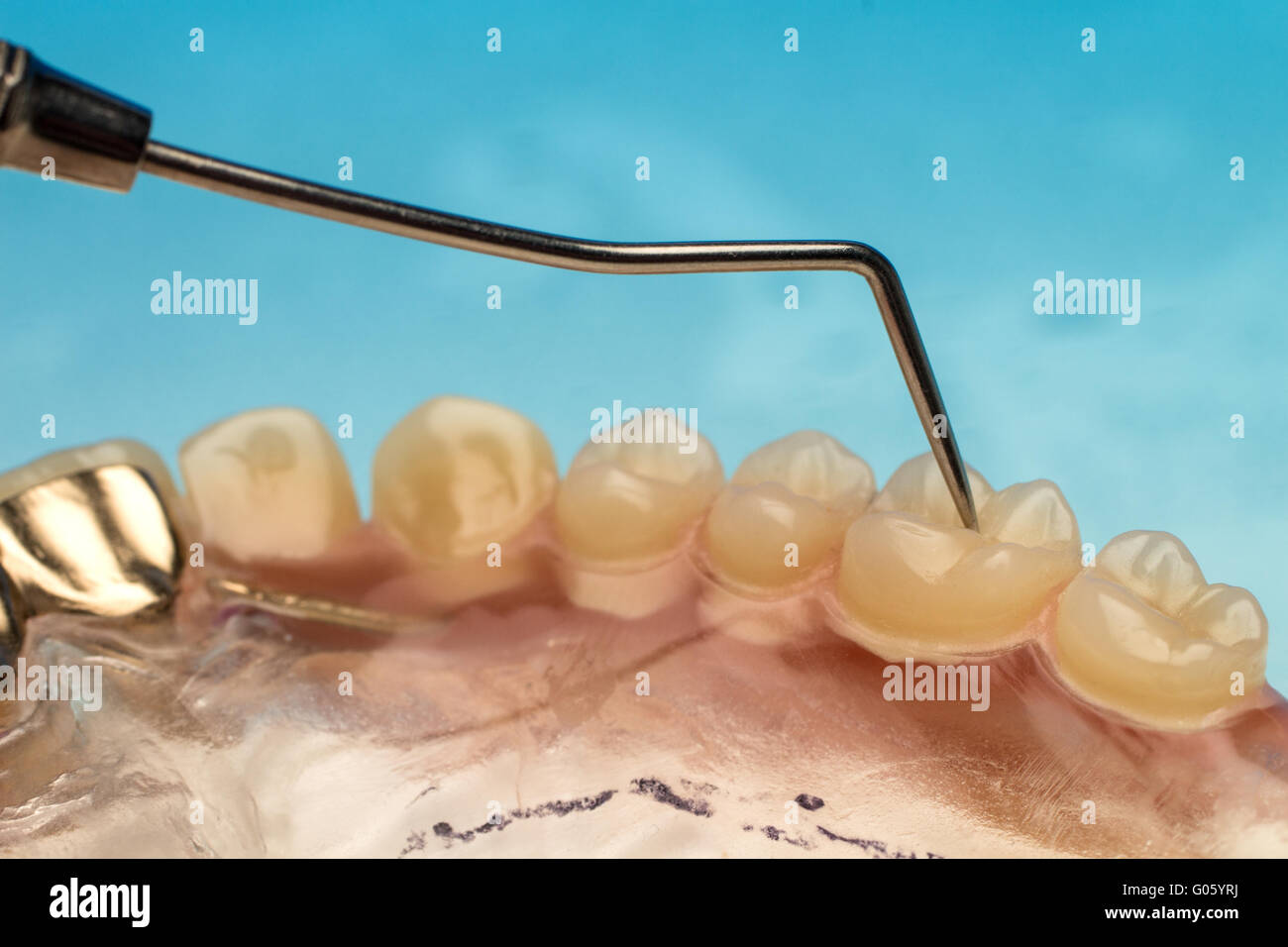 Dental pick teeth Blue Stock Photo