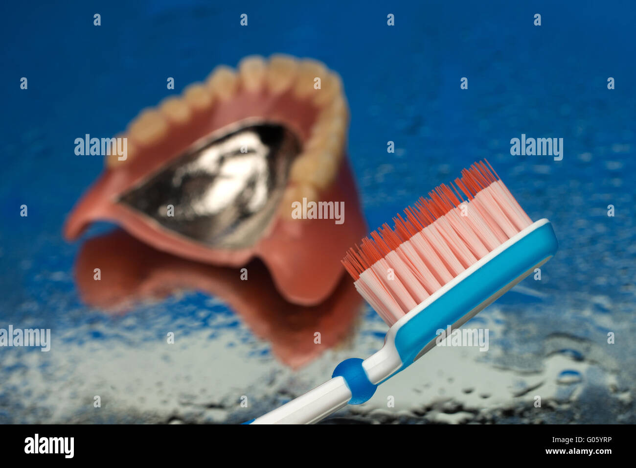 Denture teeth denture toothbrush Stock Photo