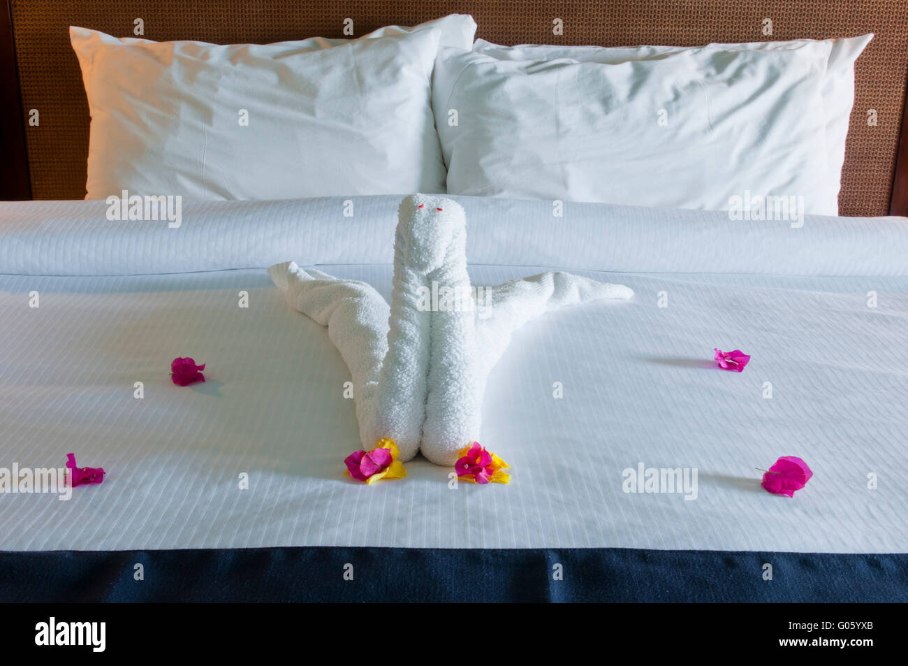 beautiful swan made from towels and bougainvillea flowers in the hotel bedroom (typical in The Caribbean resorts) Stock Photo