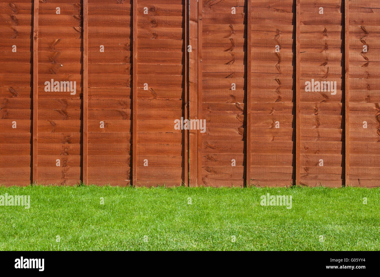 gorgeous backyard garden with green grass and wooden fence Stock Photo ...