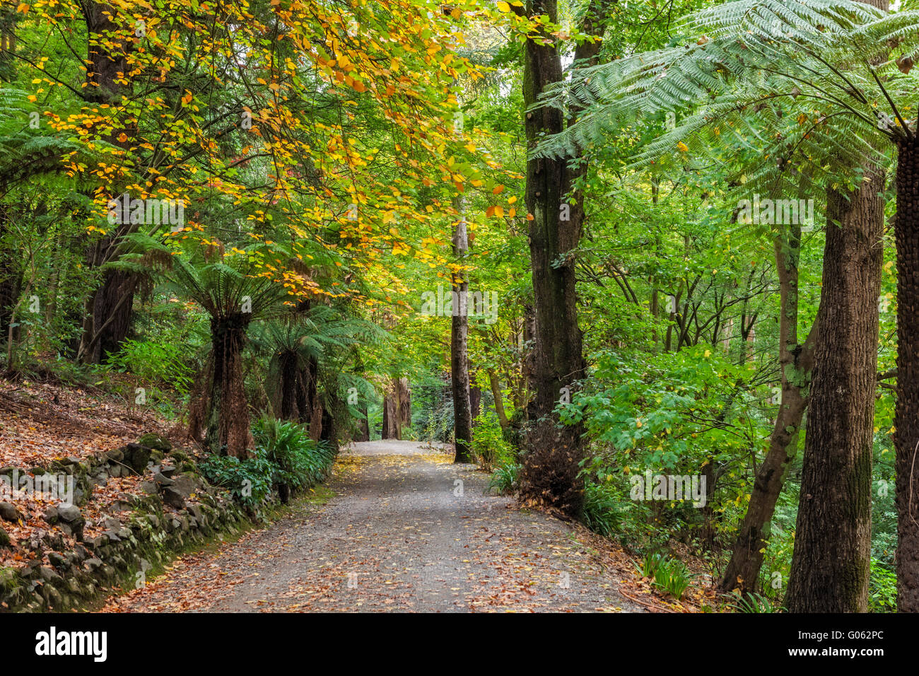 Empty footpath hi-res stock photography and images - Alamy