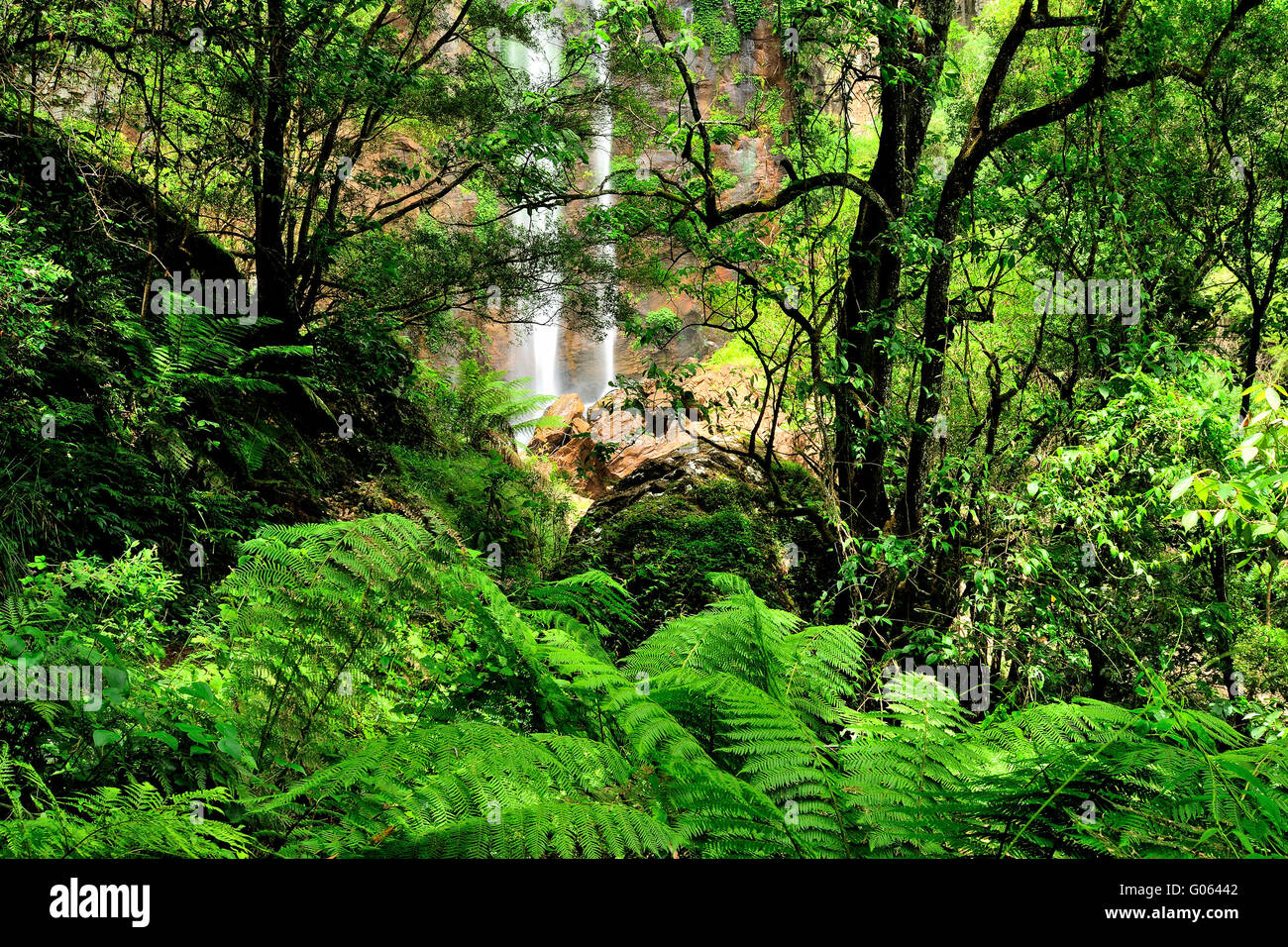 Queen Mary Falls in Killarney, Main Range National Park, Queensland Stock Photo