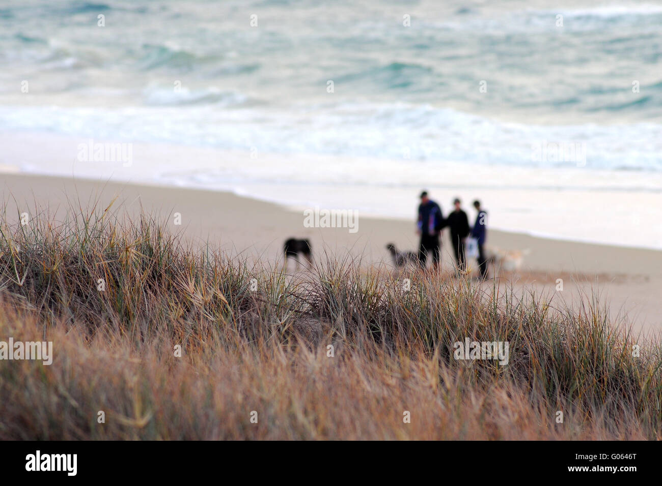Australia Landscape : Currimundi beach at dawn Stock Photo