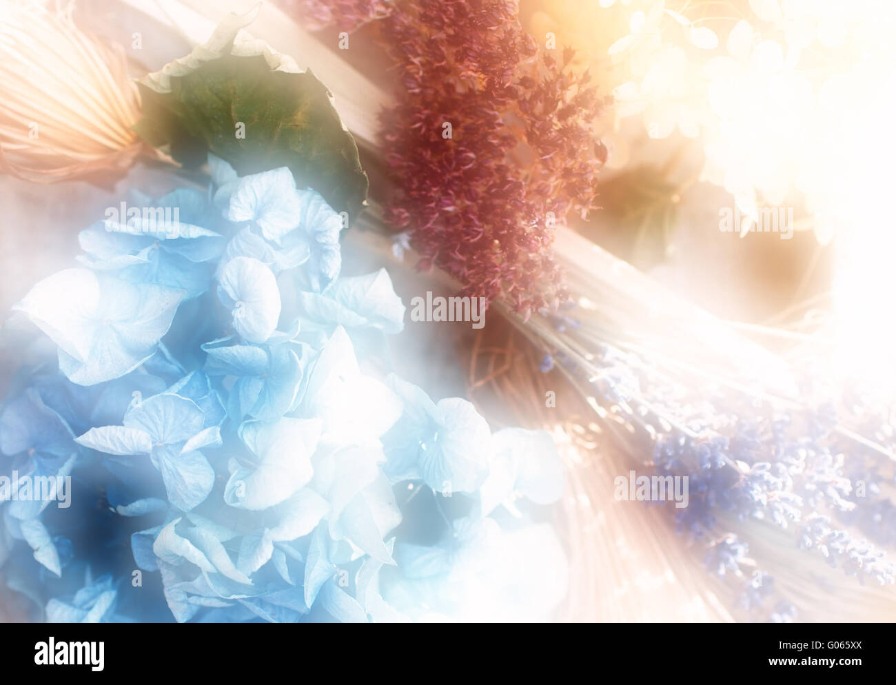 Dry flower arrangement Stock Photo Alamy