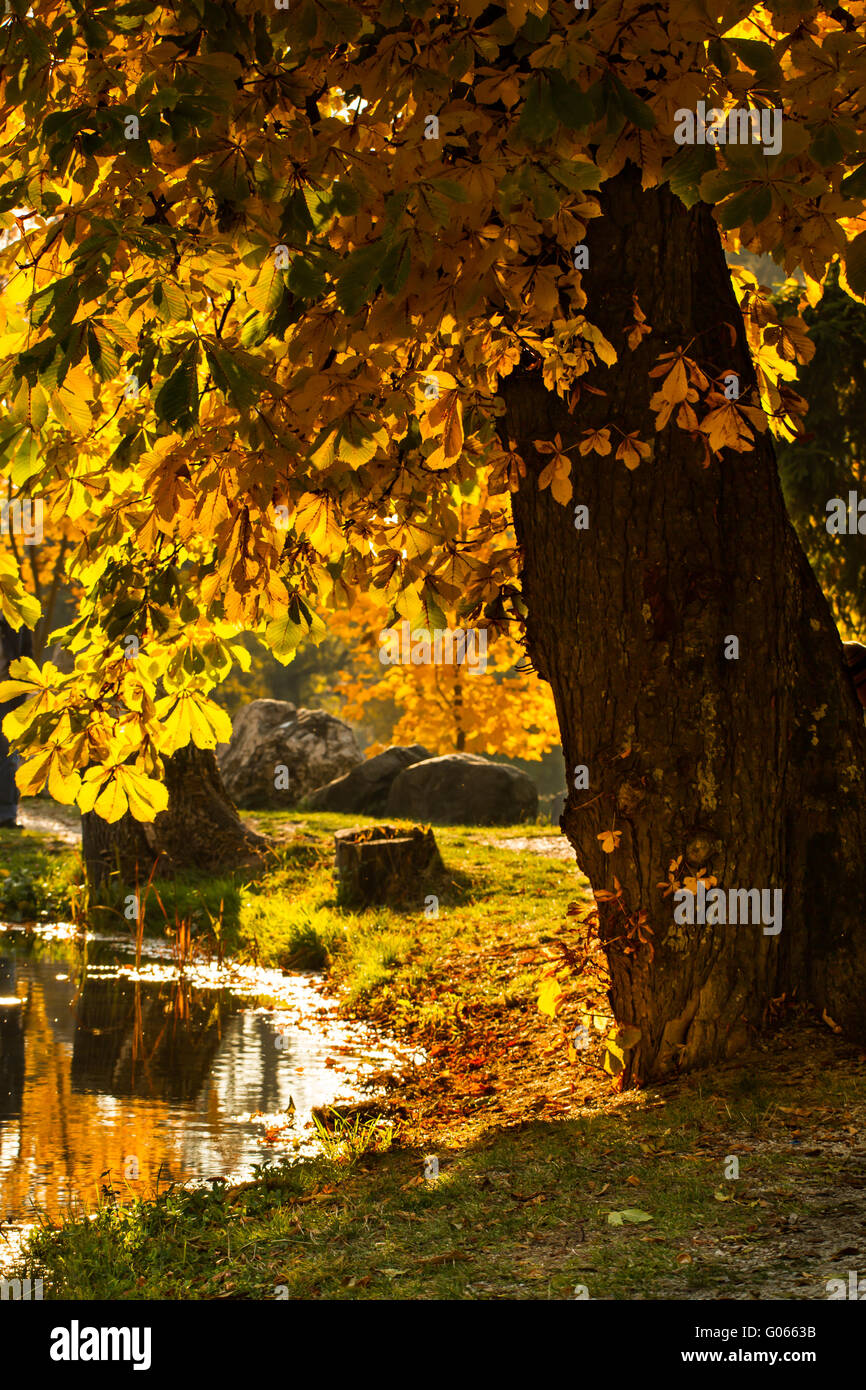 Beautiful colors of autumn landscape by the lake Stock Photo - Alamy