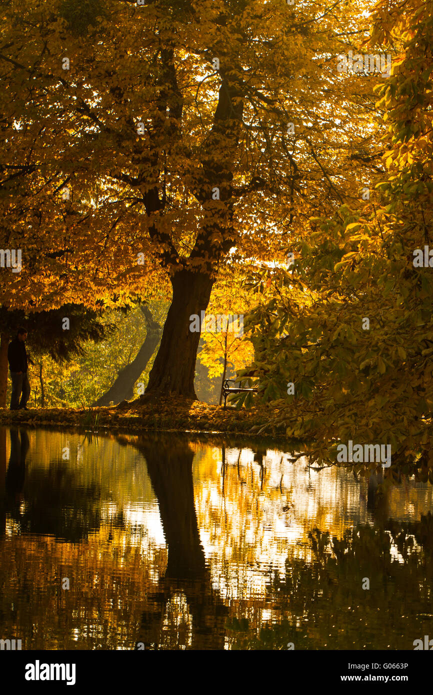 Beautiful colors of autumn landscape by the lake Stock Photo - Alamy