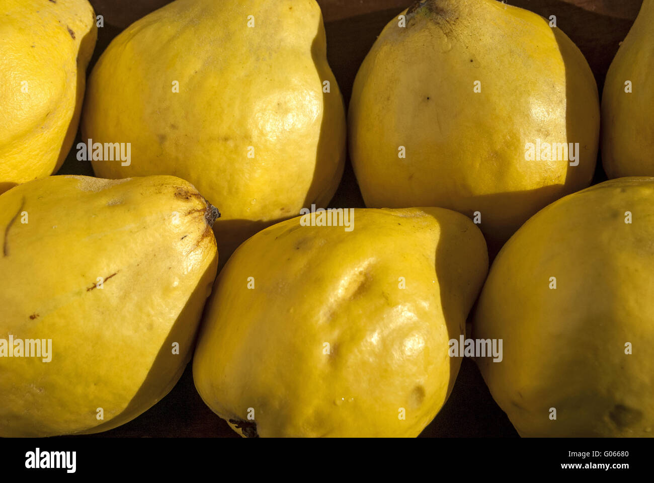 Organic quinces in wooden bowl as background Stock Photo
