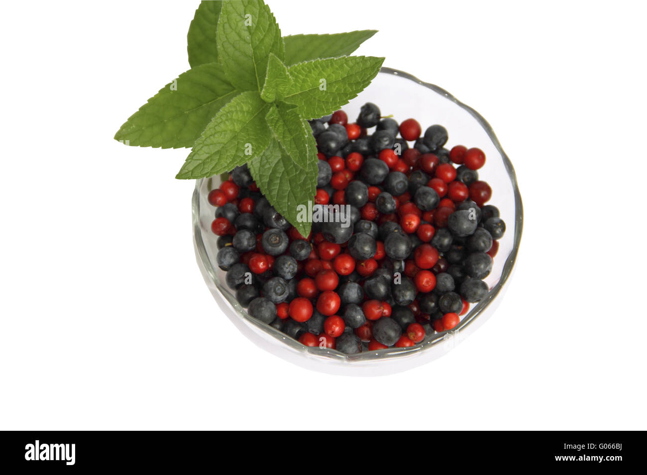 Berries of cowberry and whortleberry in a glass va Stock Photo
