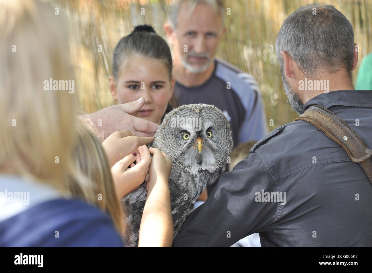 Falconer performs with her bird during Show Stock Photo