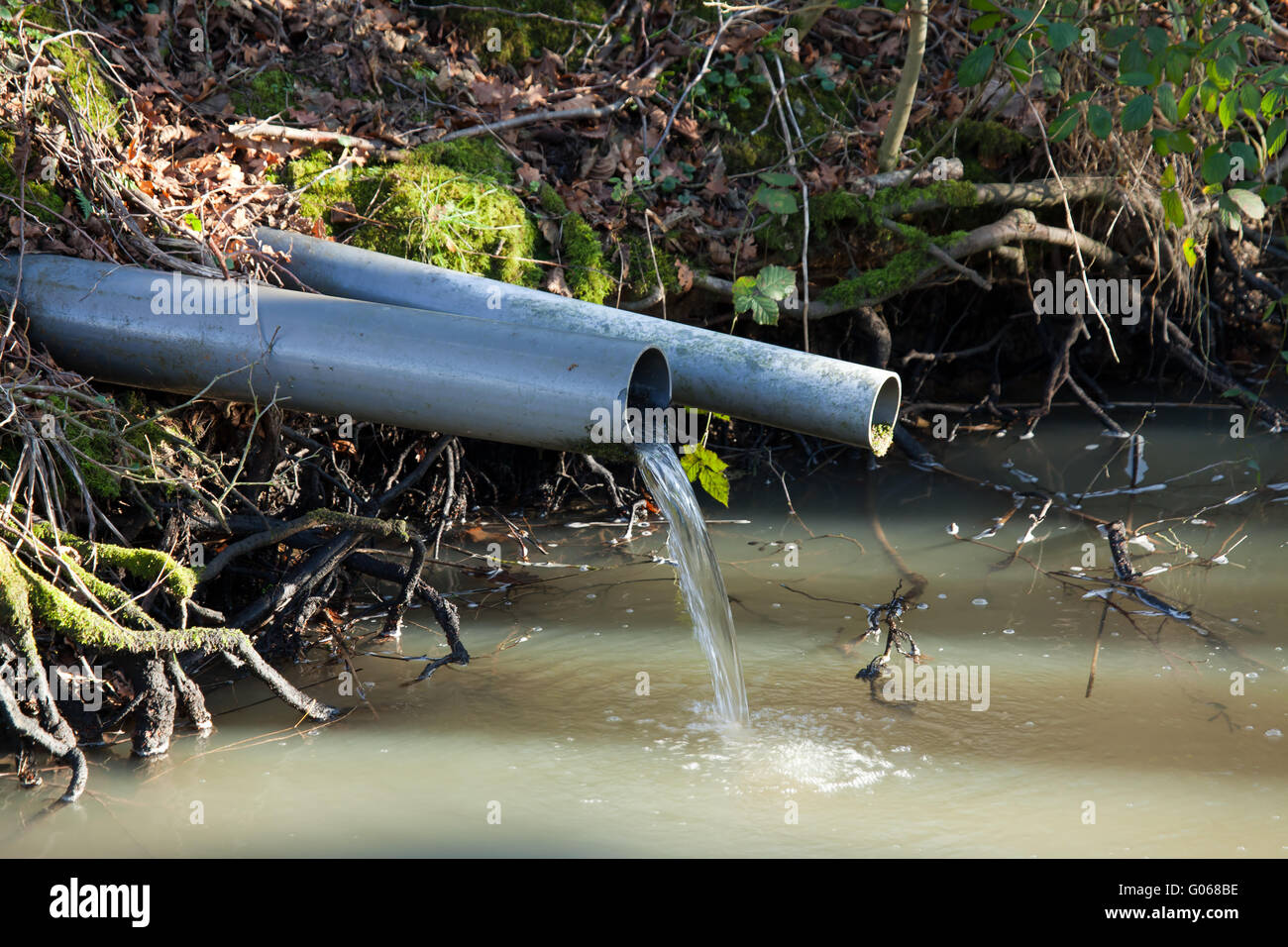 Water Outflow pipe with water pouring into woodland stream Stock Photo
