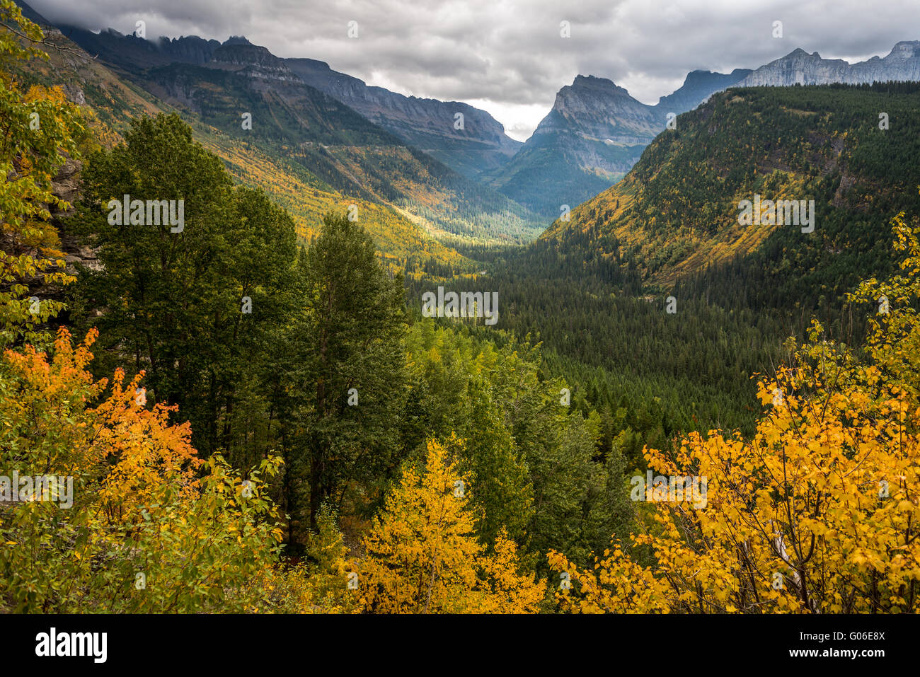 View of fall colors through Glacier National Park. Stock Photo