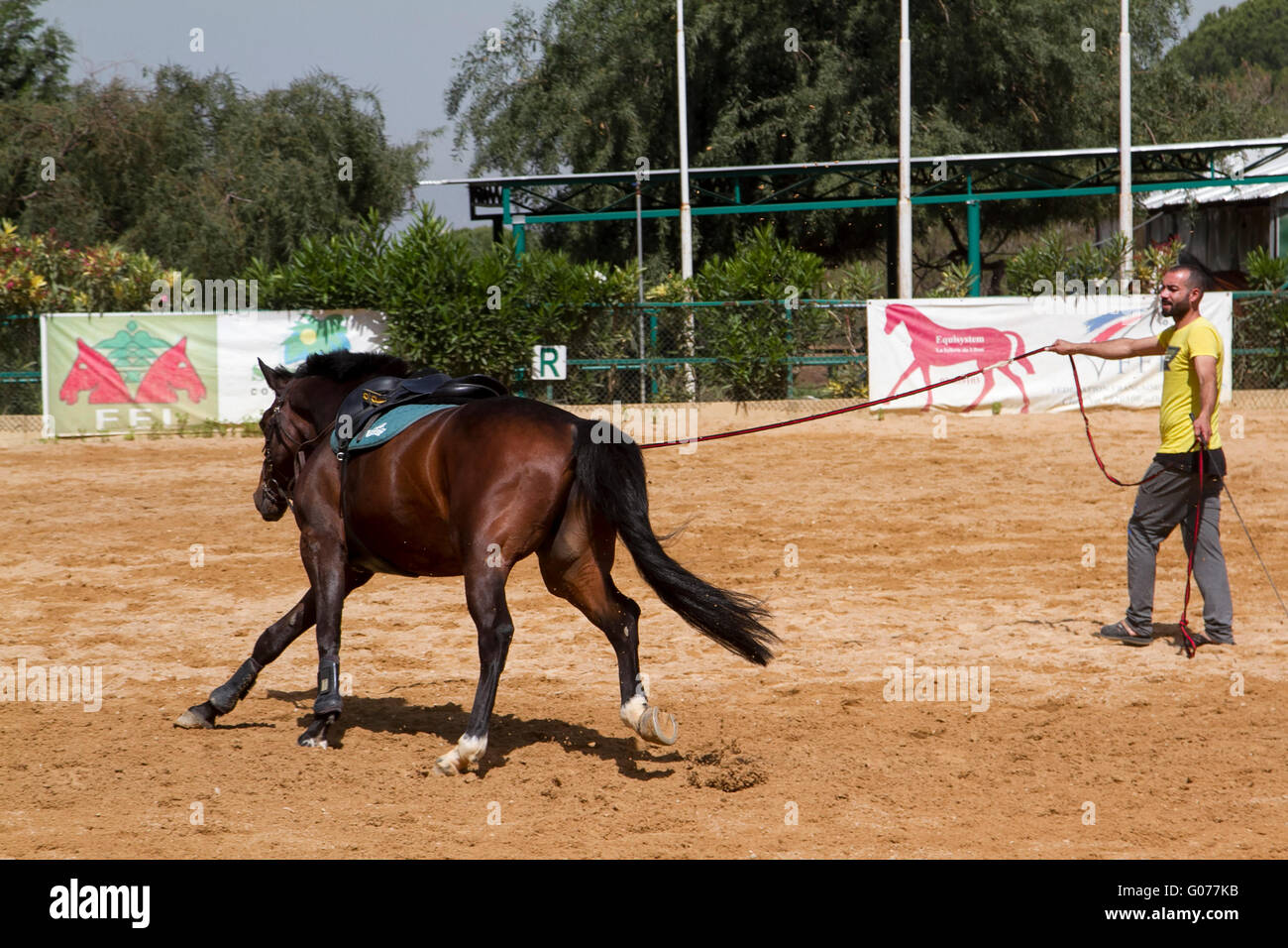 Beirut, Lebanon. 30th April 2016. A Horse riding school on a hot day in