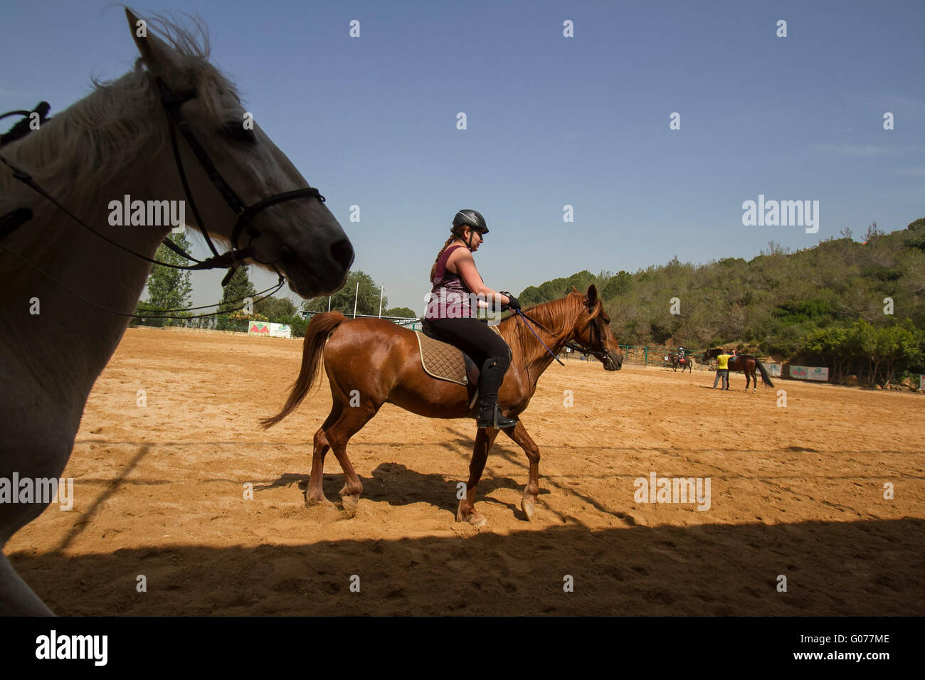Beirut Lebanon. 30th April 2016. Horse riding stables in the hills