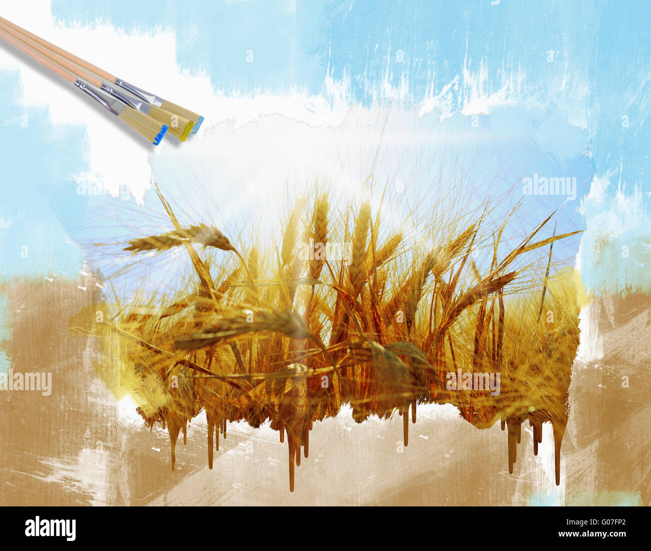 Rye field on a beautiful sunny sky background Stock Photo - Alamy