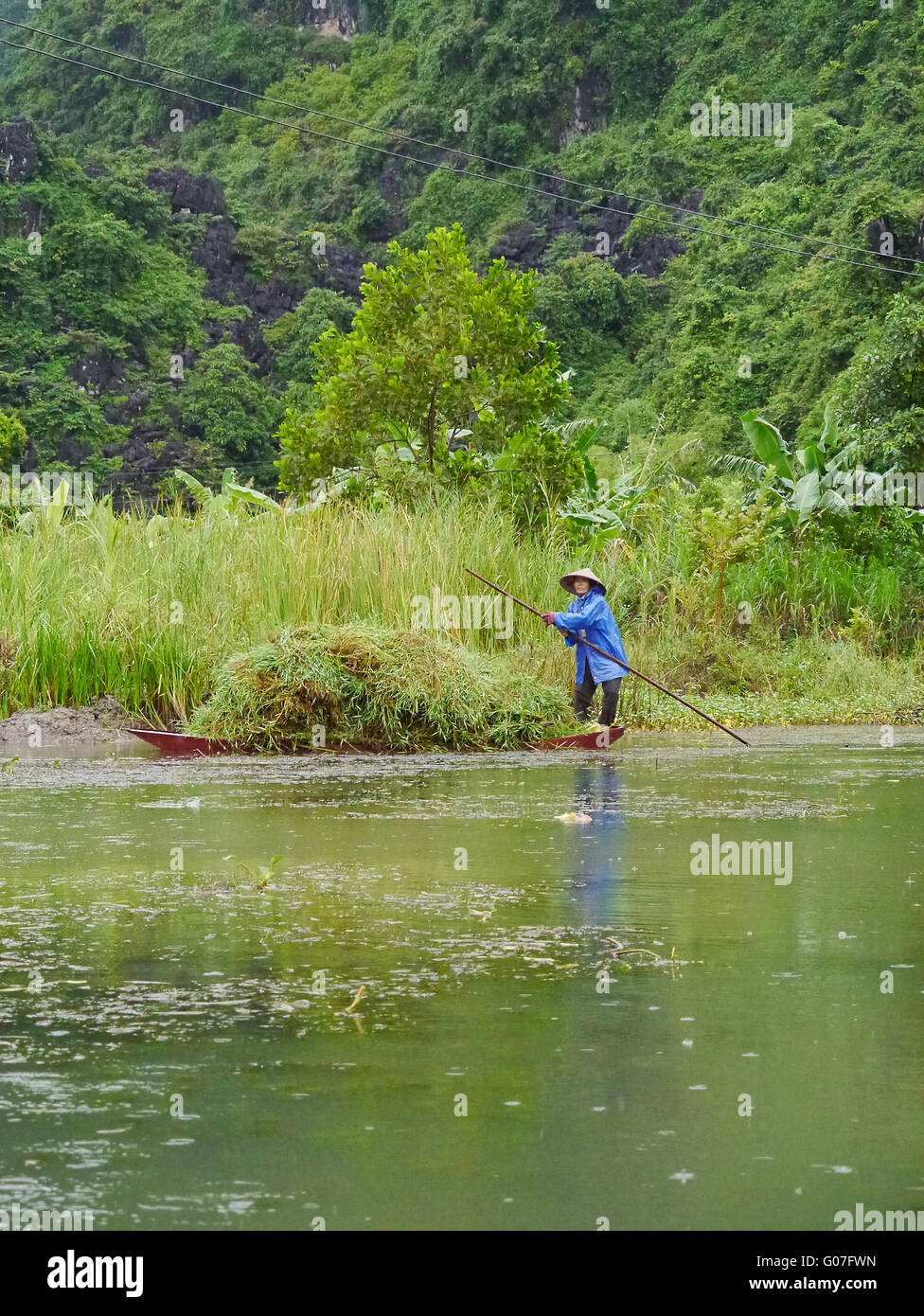 Vietnamese woman on river bringing in rice harvest Stock Photo