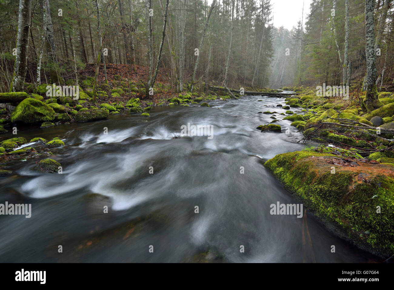 River in the forest in late autumn Stock Photo - Alamy