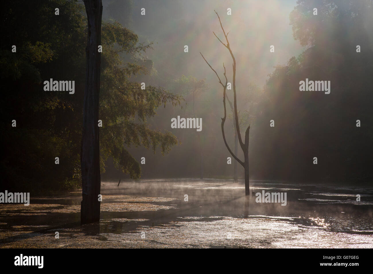 Fog over lake sun hi-res stock photography and images - Alamy