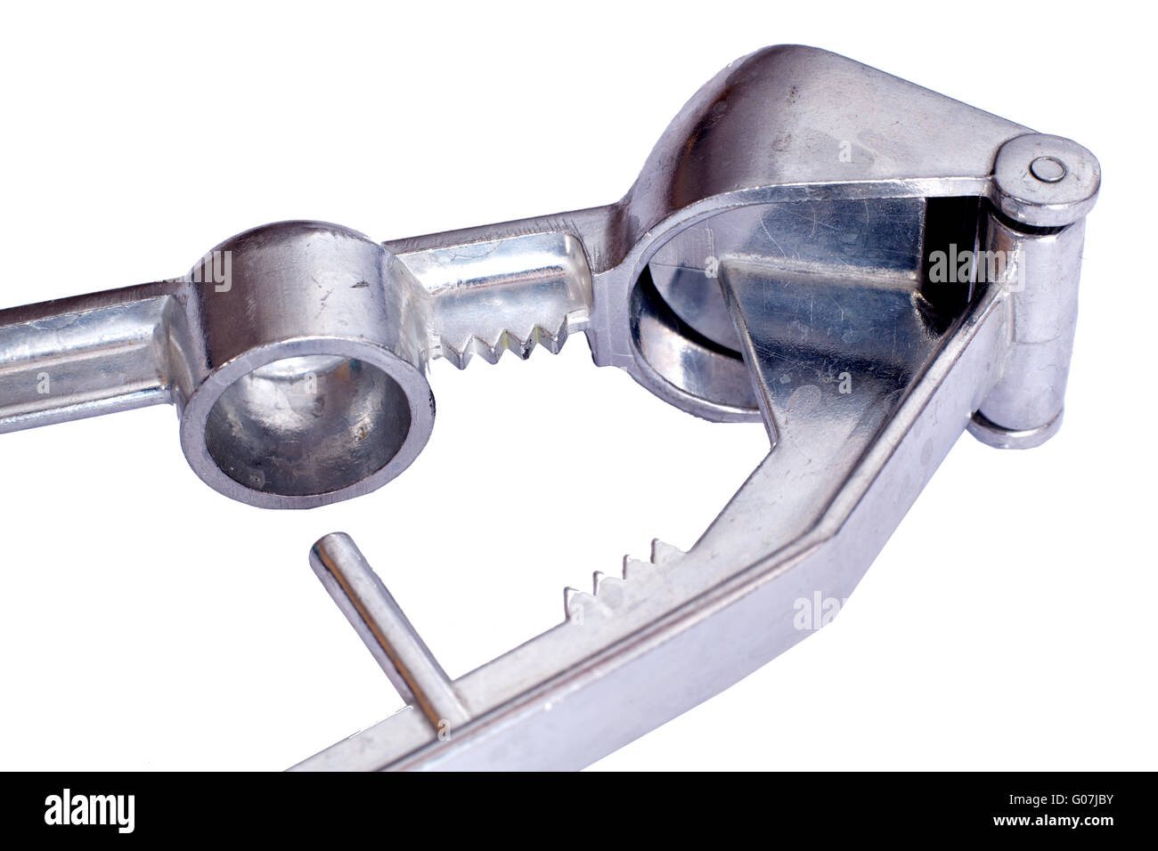 Metaltex Knoblauchpresse Mit Epoxy-Beschichtung - Robuste Küchenhelfer Für Frischen Knoblauch