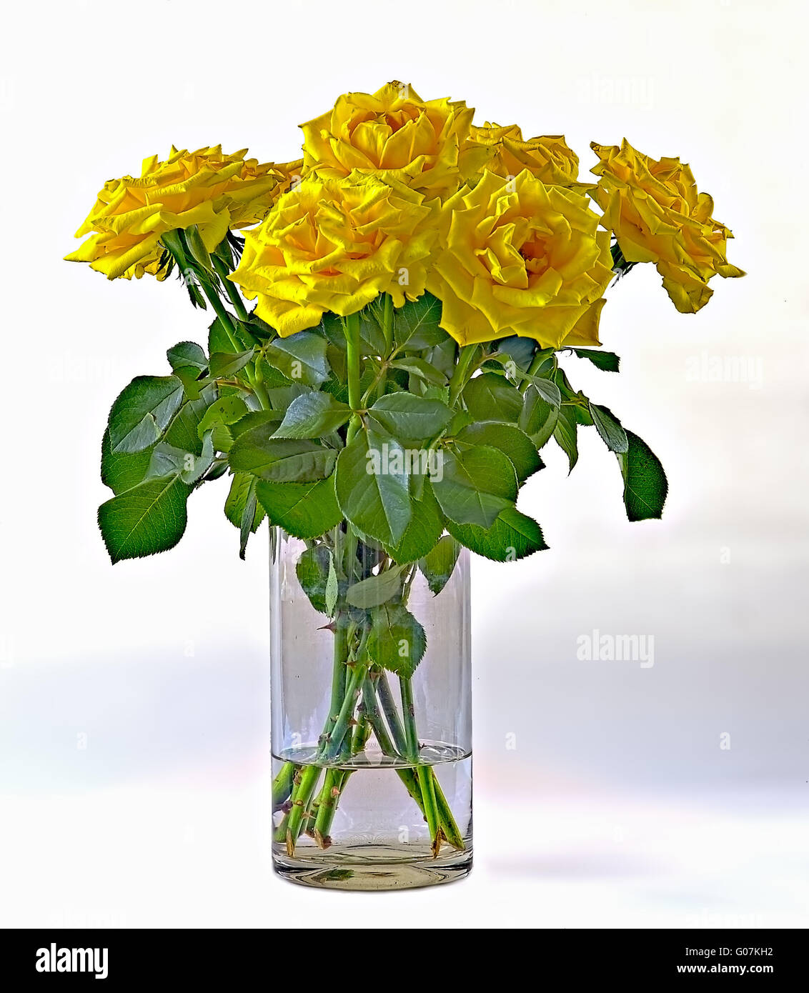A bunch of yellow roses in a vase of glass. Stock Photo