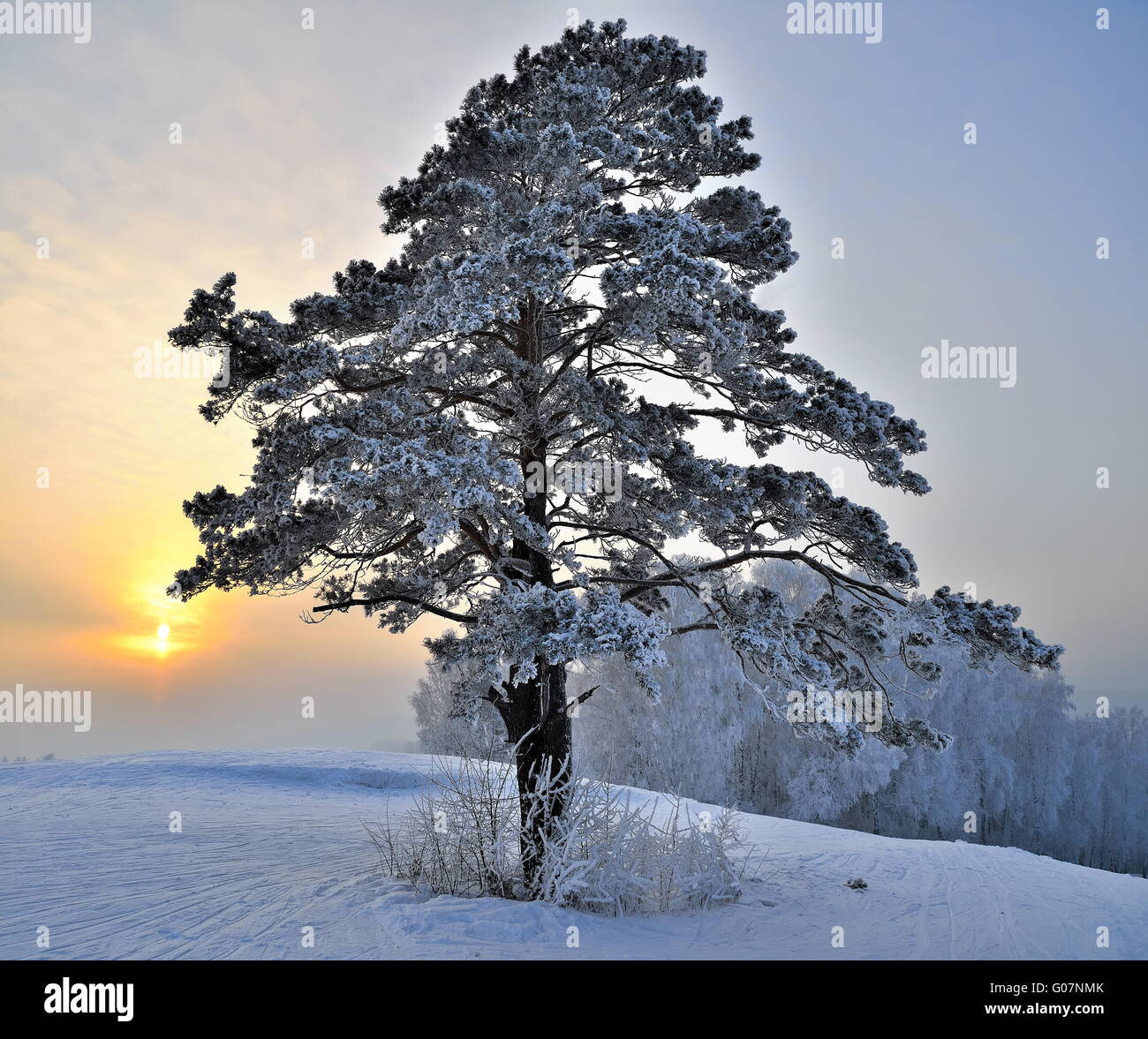 Solitude on a snowy day hi-res stock photography and images - Alamy