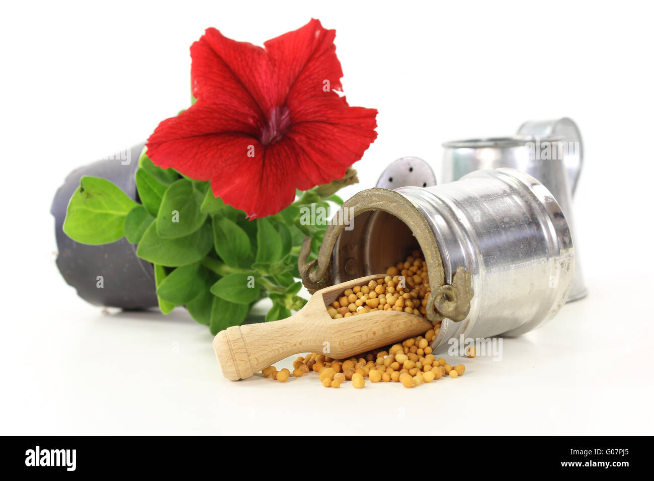 Spring release Cut Out Stock Images Pictures Alamy