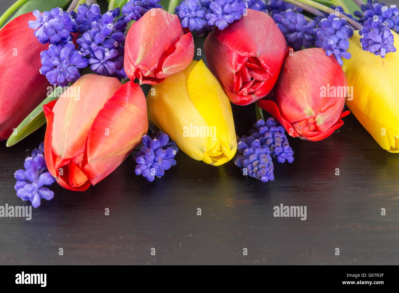 Red yellow blue flowers hi-res stock photography and images - Alamy