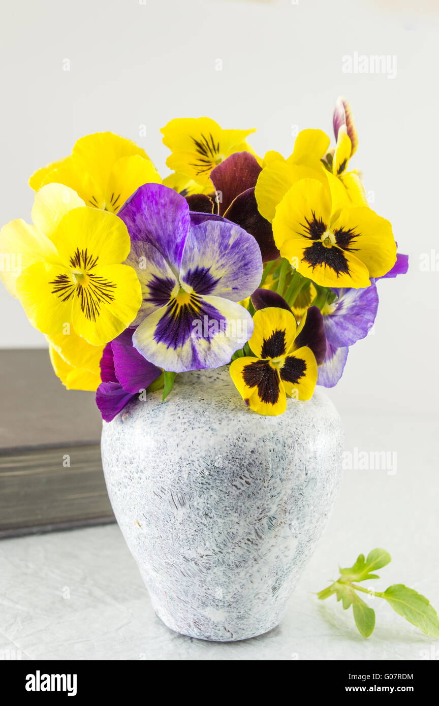 Yellow and violet flowers in a white vase Stock Photo