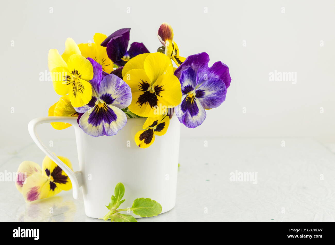 Yellow and violet flowers in a white vase Stock Photo