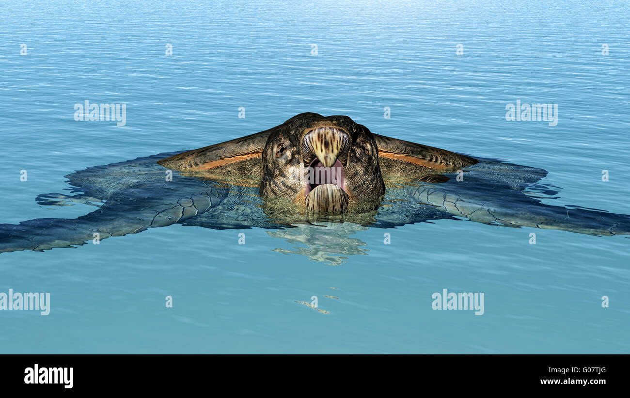 Giant Sea Turtle Archelon Stock Photo