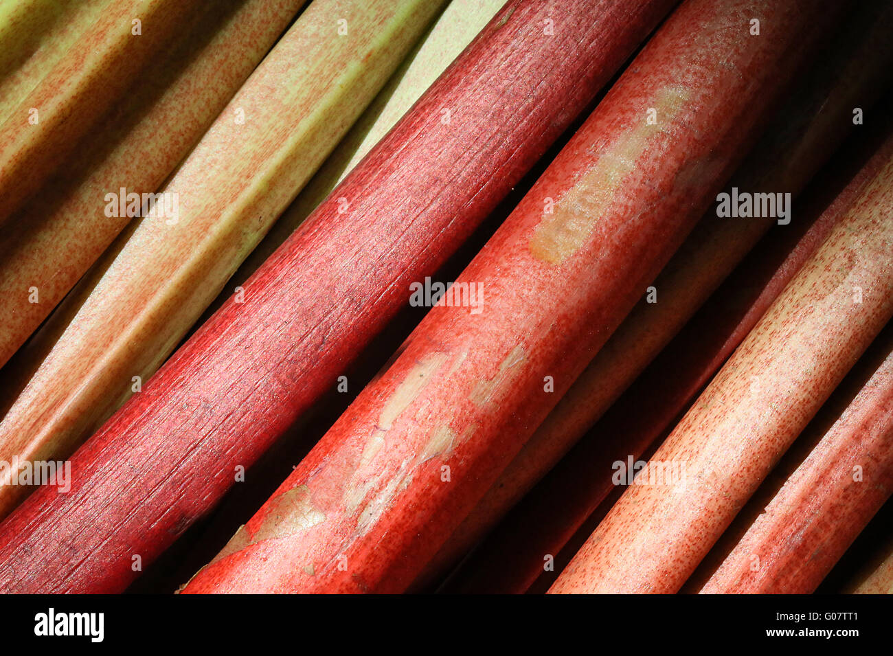 RHUBARB Stock Photo