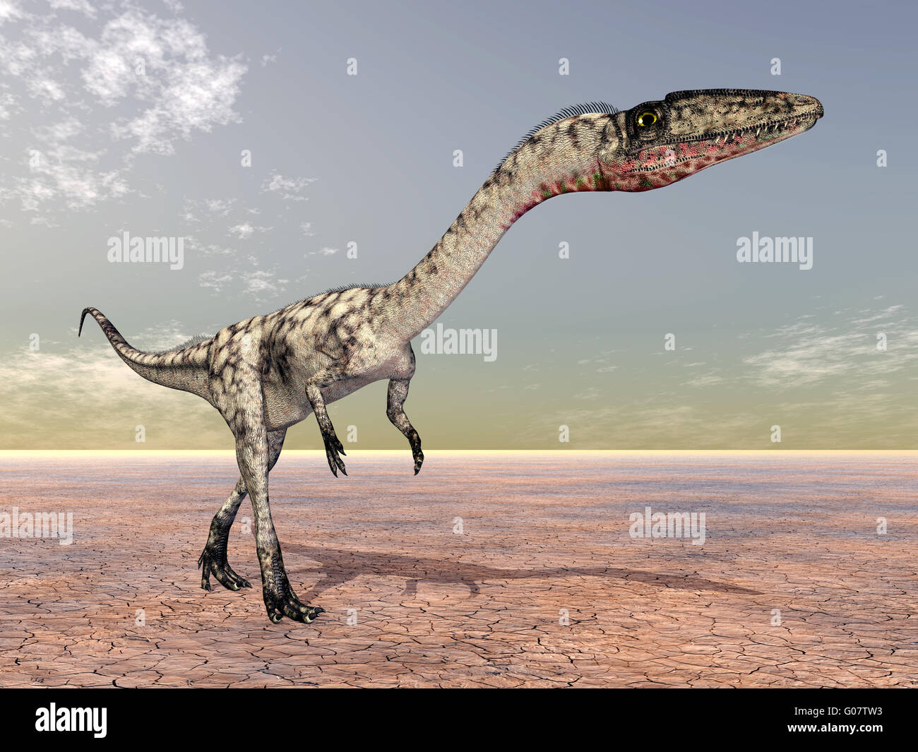 Dinosaur Coelophysis Stock Photo