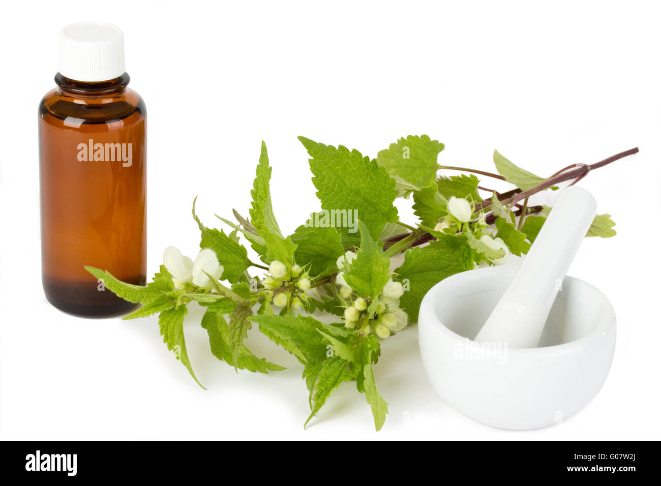 Stinging nettle with medicine bottle and mortar Stock Photo