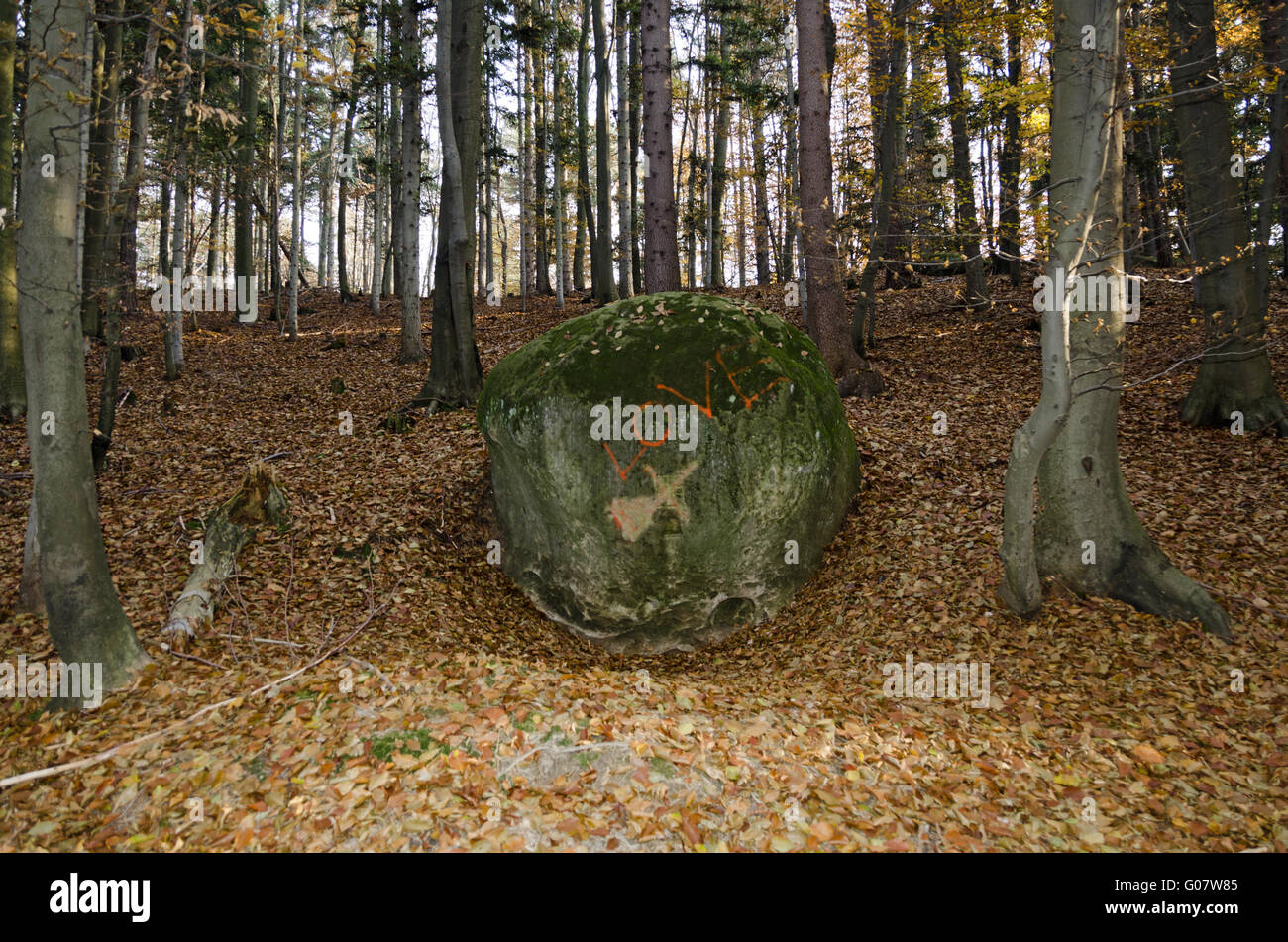 single globular rock in the forest labeled Love, Stock Photo