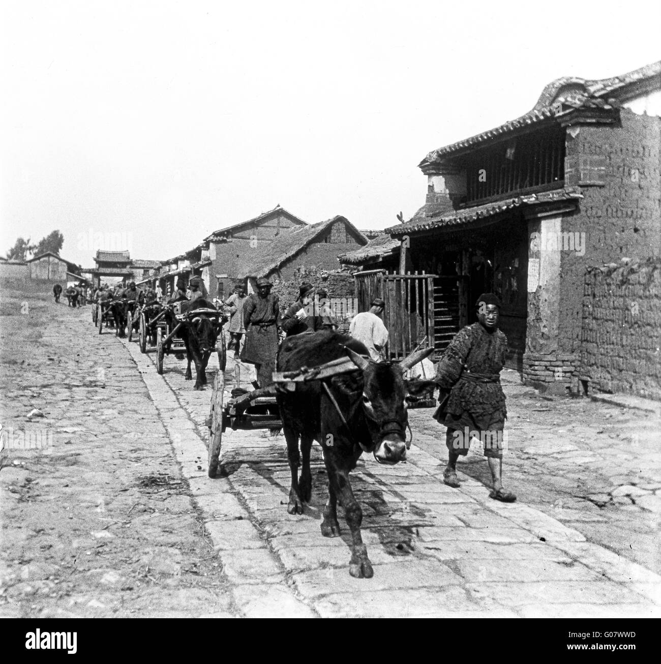 Peasant farmer traders travelling with oxen and carts in Yunnan provence China 1920 Stock Photo