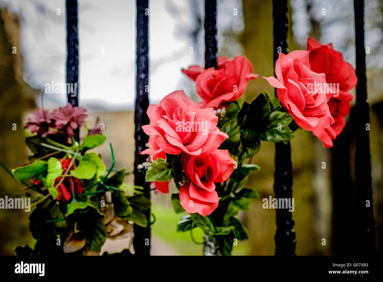 Flowers on the locked gates of the Covenanter's Prison in Grey Friars church yard in Edinburgh, Scotland Stock Photo