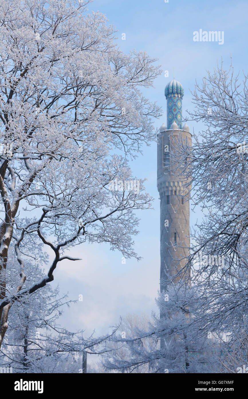 Minarets in St.-Petersburg against winter trees Stock Photo