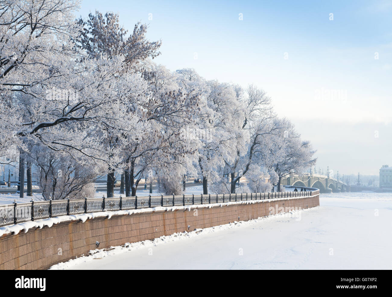 Trees in hoarfrost on the embankment of the Neva River in St. Petersburg Stock Photo