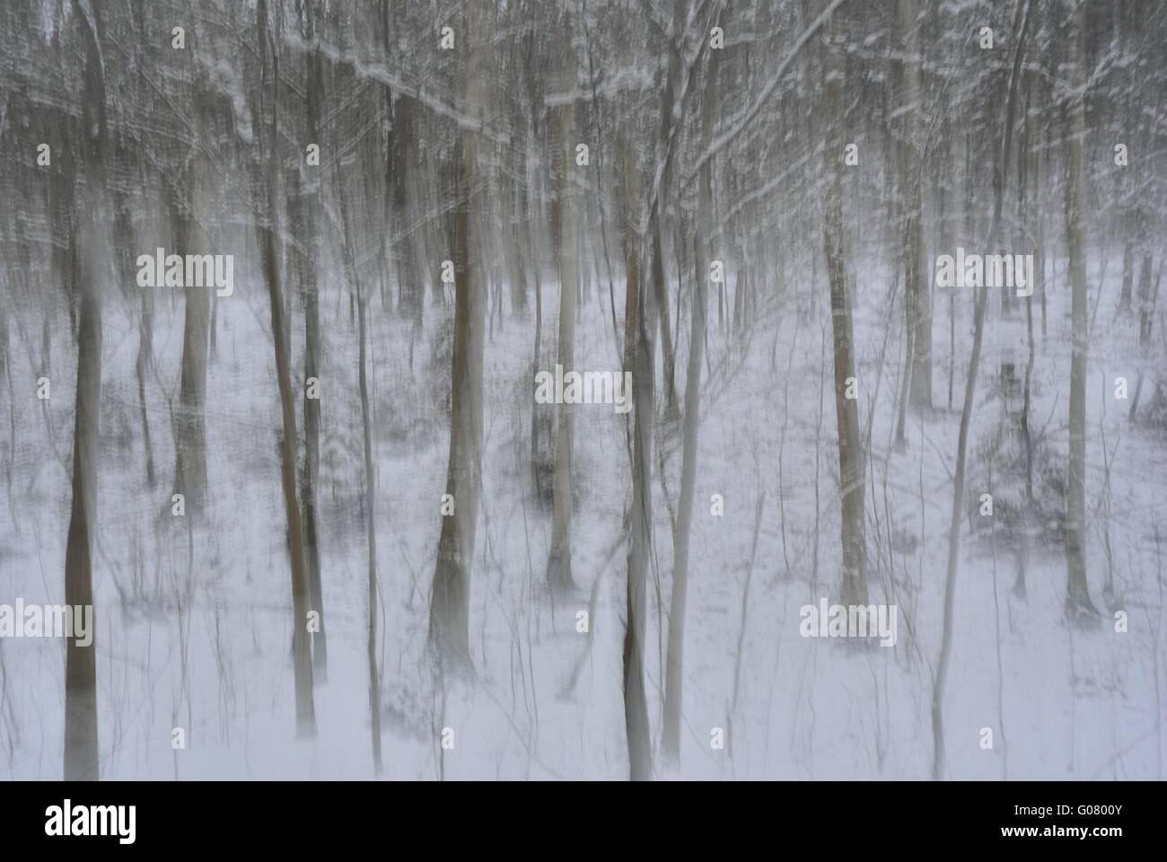 Artful nature hi-res stock photography and images - Alamy