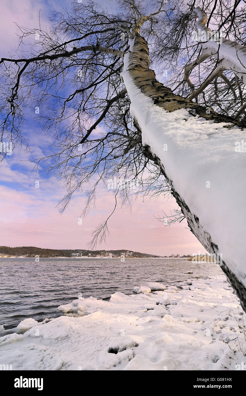 island of rügen in the winter Stock Photo - Alamy