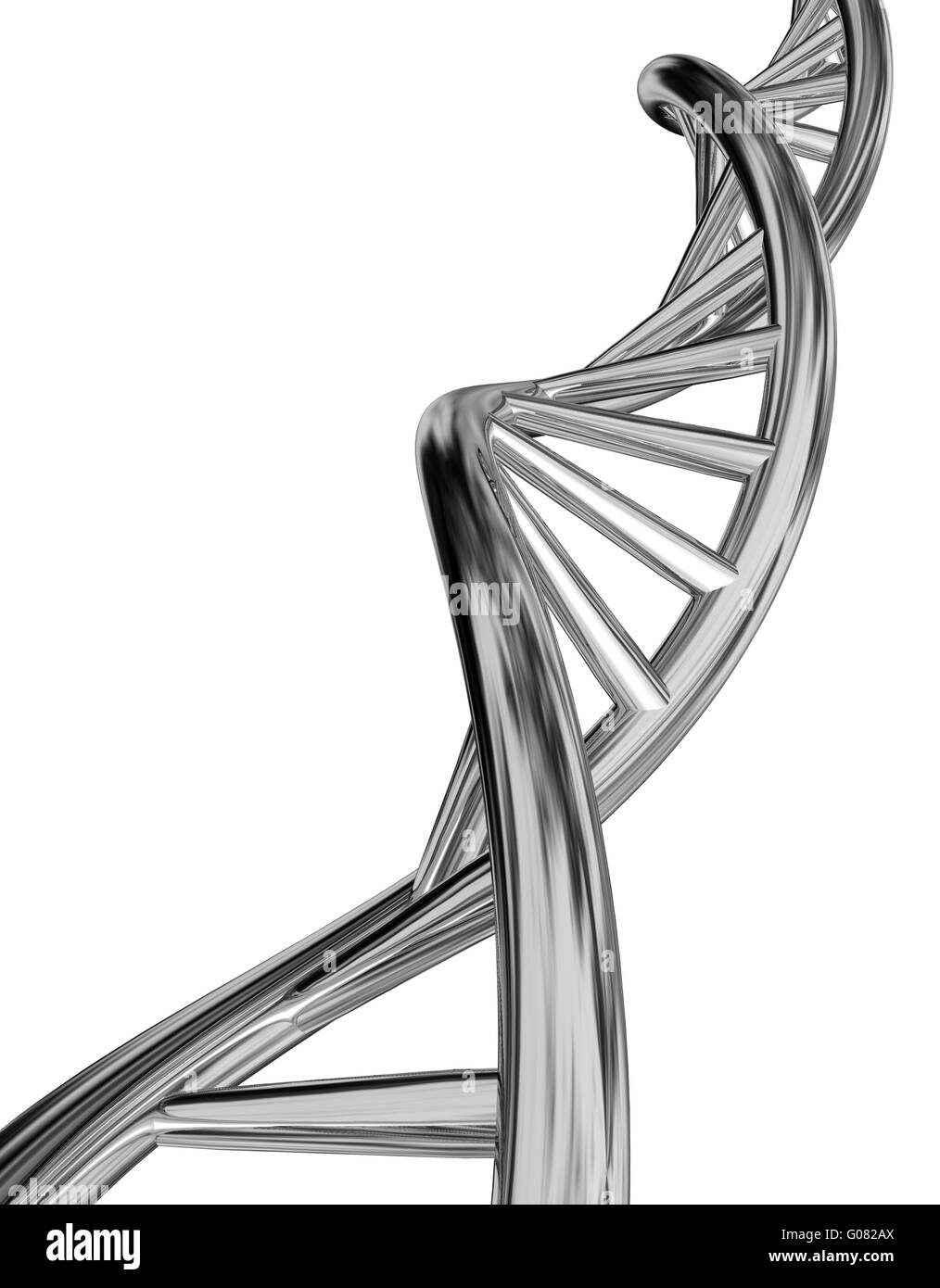 DNA model isolated on white background. Stock Photo