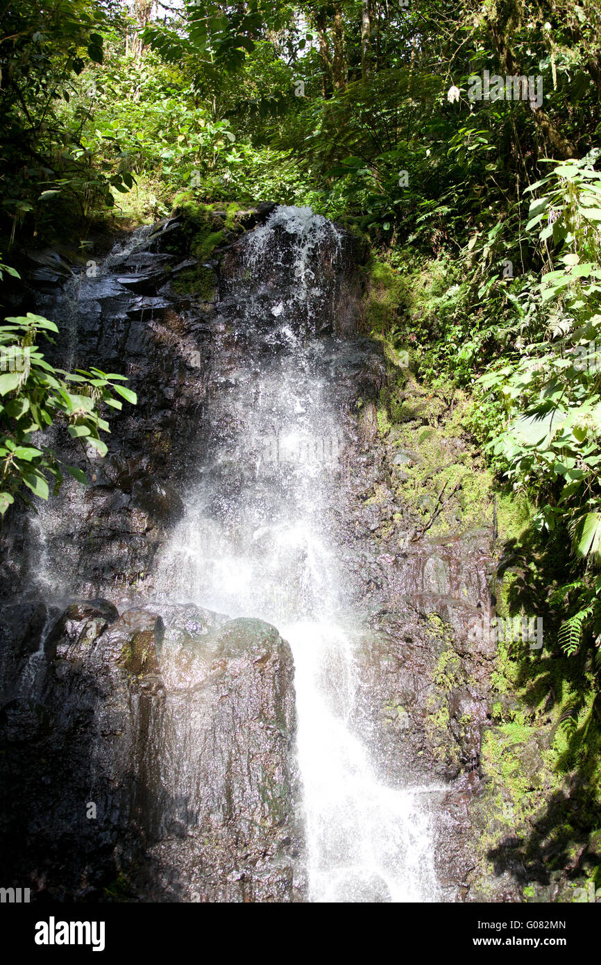 Waterfall in the rain forest Stock Photo