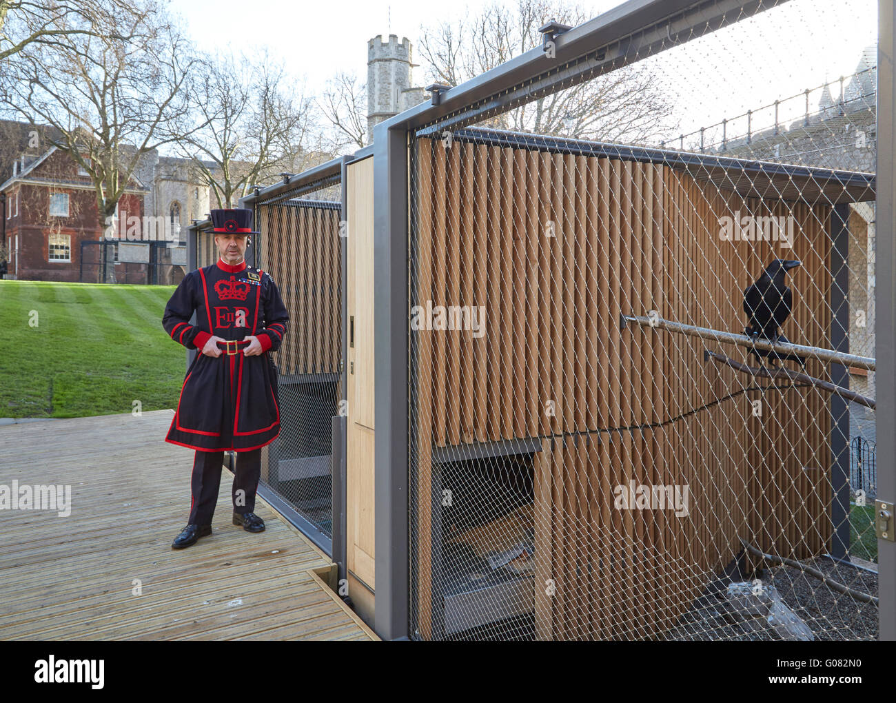 Raven master at feeding time. Ravens Night Enclosures at Tower of London, London, United Kingdom. Architect: llowarch and llowarch architects, 2015. Stock Photo
