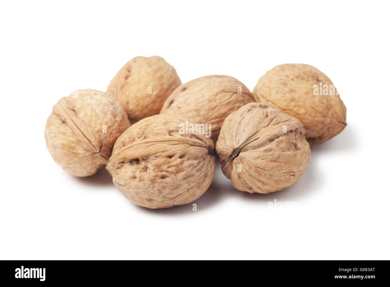 Circassian walnut isolated on white background Stock Photo