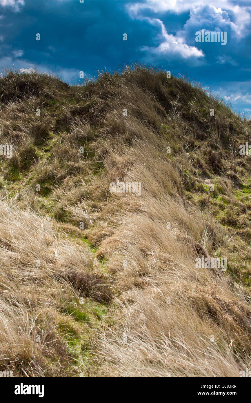 Dunes Landscape Stock Photo Alamy
