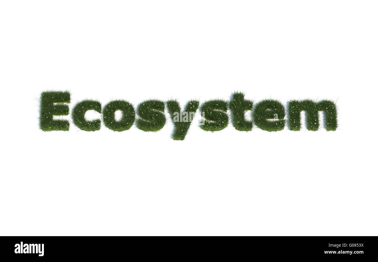 Ecosystem: Series Fonts out of realistic grass Language E Stock Photo